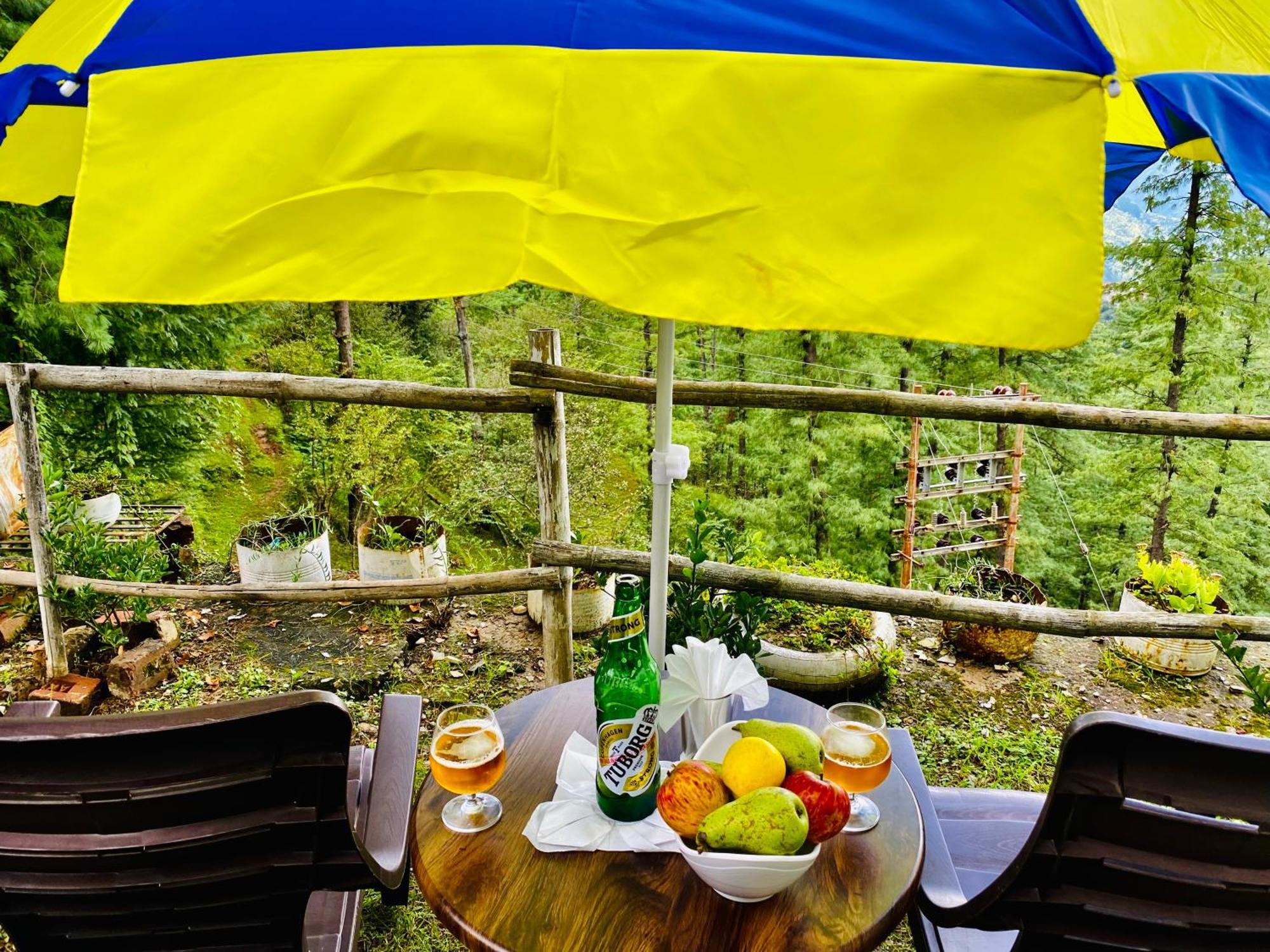 Royal Green Mashobra - Mountain And Valley View Rooms Шімла Екстер'єр фото